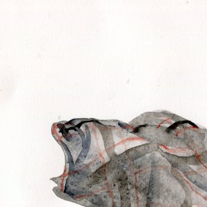 Breaking News Nov 2014011